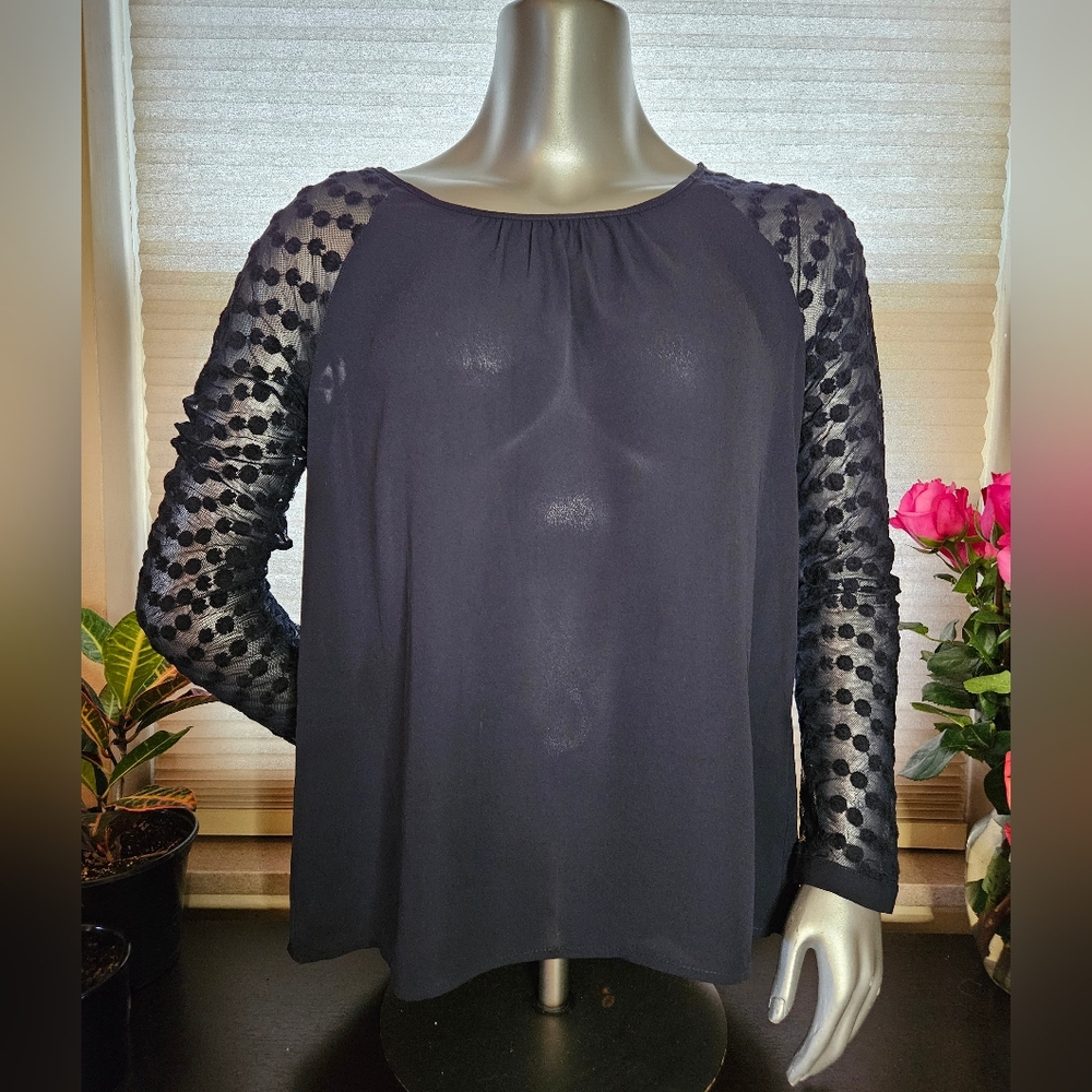 EUC Adrianna Papell Sheer Blouse - Size L